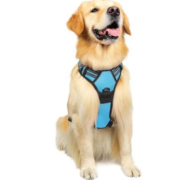 ARNÉS PERROS COMPRA FACIL RABBITGOO SIN TIRONES CON 2 CLIPS DE CORREA ACOLCHADO AJUSTABLE CON MANIJA PARA RAZAS GRANDES AZUL L