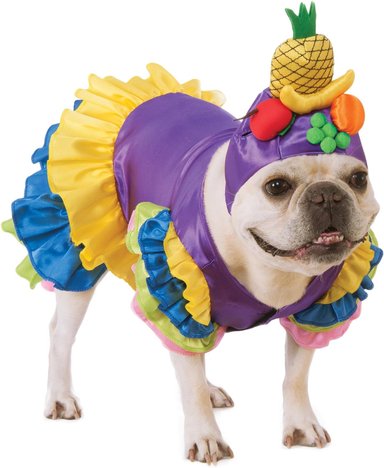 DISFRAZ AMAZON RUBIE'S BRASILEÑO BOMBA MASCOTAS TALLA M - 4