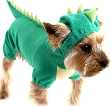 DISFRAZ AMAZON HOTUMN DINOSAURIO HALLOWEEN TALLA XXL VERDE