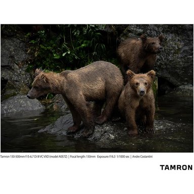 TAMRON LENTE 15-50CM F/5-6.7 DI III VC | NEGRO - 4