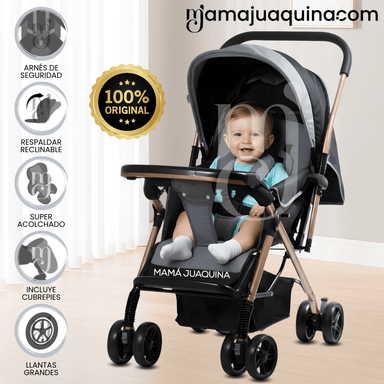 COCHE CUNA DE LUJO «GRAND PIETRI» EDICICÓN LIMITADA GRIS