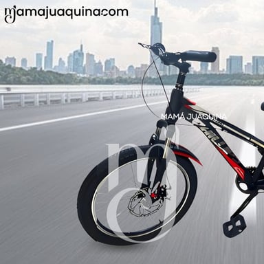 BICICLETA DEPORTIVA ARO 20 «SKINY PHILLIPS» EDICIÓN LIMITADA RED - 2