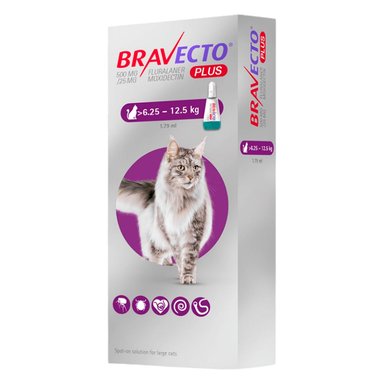 ANTIPULGAS GATO BRAVECTO 0.1 PIPETA 6.25KG A 2.5KG