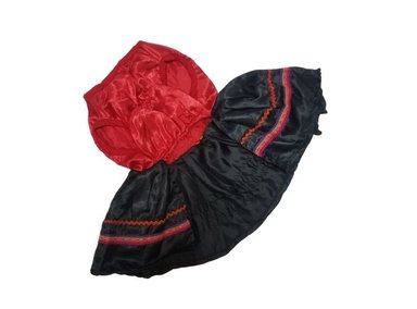 DISFRAZ PERRO VESTIDO DISEÑO'S PET CHOLITA TALLA 3 - 2