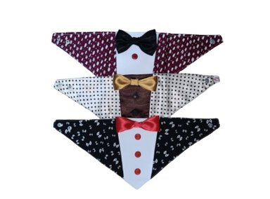 BANDANA PERRO Y GATO DISEÑO'S PET 3X1 TALLA S - 2