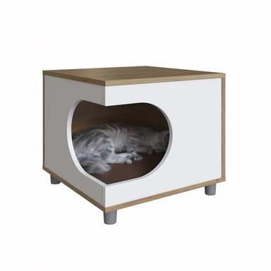 VELADOR 73 EXPERIENCE MASCOTA MODELO KARITA MULTICOLOR