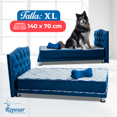 CAMA PERROS Y GATOS PREMIUM COMBO TRIO TARIMA + COLCHÓN + CABECERA TALLA XL COLOR AZUL