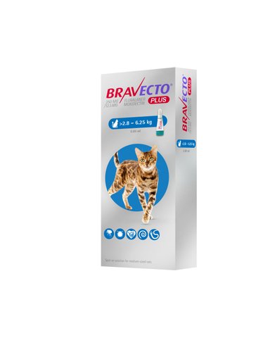 ANTIPULGAS GATO BRAVECTO PIPETA 2.8 A 6.25 KG 1 PLUS