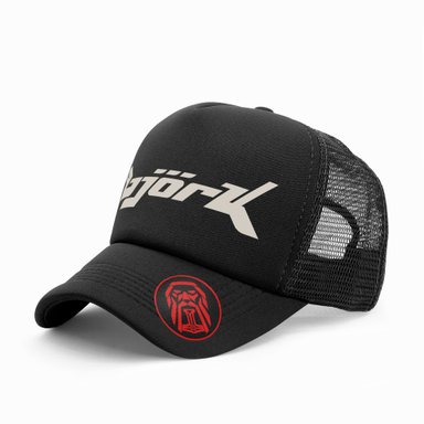 GORRA TRUCKER BJORK CANTANTE 02