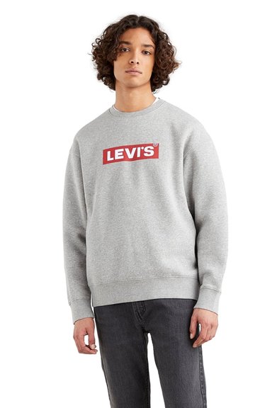 POLERÓN HOMBRE RELAXED GRAPHIC GRIS LEVIS 39134-0030 - 1
