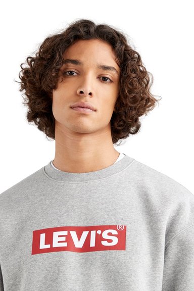 POLERÓN HOMBRE RELAXED GRAPHIC GRIS LEVIS 39134-0030 - 4