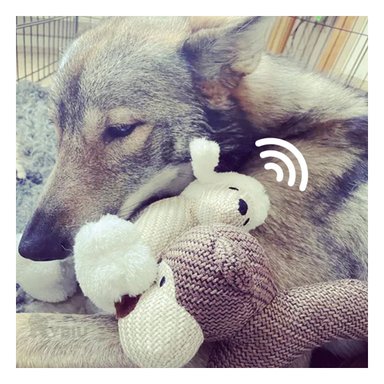 PELUCHE PERROS CON SONIDO RYBIU DISEÑO DE FACIL LAVADO COLOR BLANCO