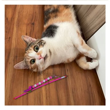 JUGUETE GATO MA29067 VARITA INTERACTIVA ROSADO + AGENDITA RYBIU