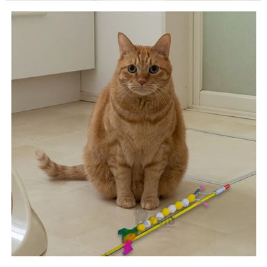 JUGUETE GATO MA29068 VARITA INTERACTIVA AMARILLO + AGENDITA RYBIU