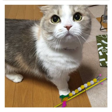 JUGUETE GATO MA29068 VARITA DE ENTRETENIMIENTO AMARILLO + STICKERS RYBIU