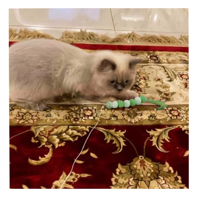 JUGUETE GATO MA29069 VARITA INTERACTIVA VERDE + AGENDITA RYBIU