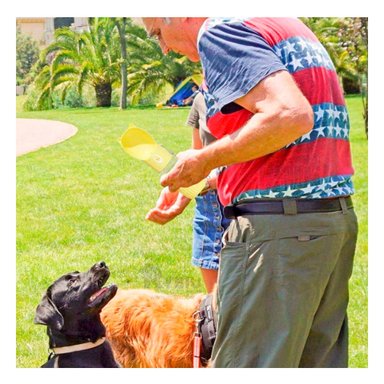 DISPENSADOR AGUA PERRO MA29120 MASCOTA TONO AMARILLO Y STICKERS RYBIU