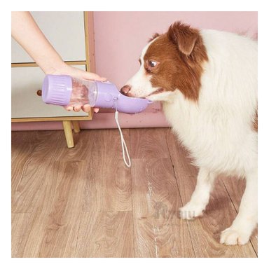 DISPENSADOR AGUA PERRO MA29119 FUNCIONAL TONOLILA Y AGENDITA RYBIU