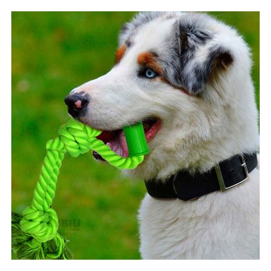 SOGA ALGODÓN PERRO MA29073 CON ASA VERDE LIMON + STICKERS RYBIU