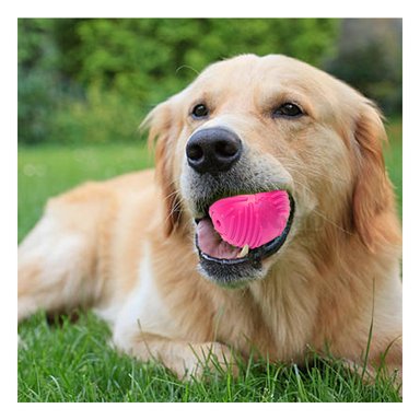 PELOTA  PERRO MA29080 ROSADO + PAPEL DE REGALO RYBIU