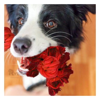 SOGA ALGODÓN MA29074 CON AGARRADERA DIVERTIDA ROJO RYBIU