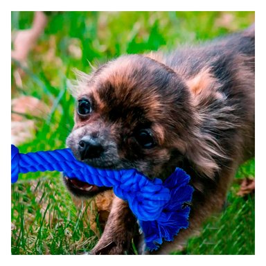 SOGA ALGODÓN MA29075 AZUL +AGENDITA RYBIU