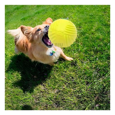 PELOTA PERRO MA29079 RYBIU DINAMICA Y COMPACTA VERDE LIMON