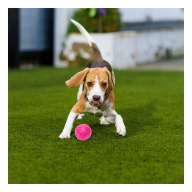 PELOTA PERRO MA29080 RYBIU DE ENTRETENIMIENTO ROSADO Y STICKERS