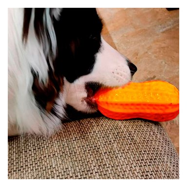 JUGUETE PERRO MA29076 RYBIU MORDISQUEABLE CANINO TONO NARANJA Y AGENDITA