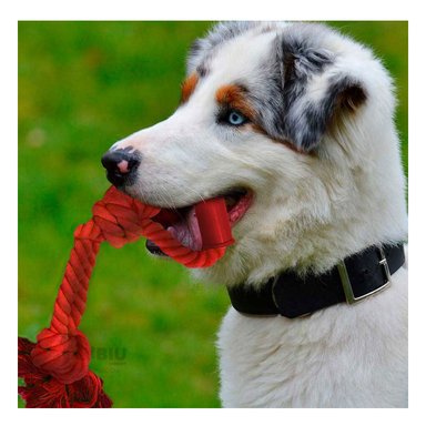 SOGA ALGODÓN MA29074 ROJO +AGENDITA RYBIU