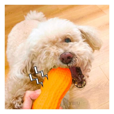 JUGUETE PERRO MA29076 RYBIU MASTICAR NARANJA Y STICKERS