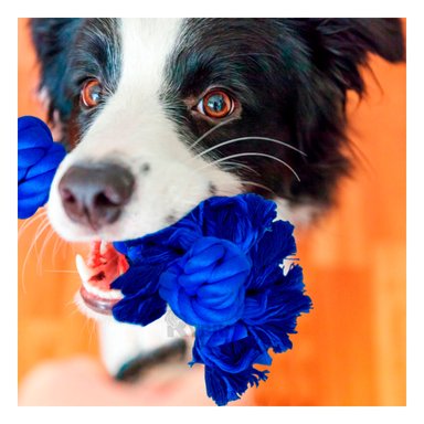 SOGA ALGODÓN MA29075 AZUL +PAPEL DE REGALO RYBIU