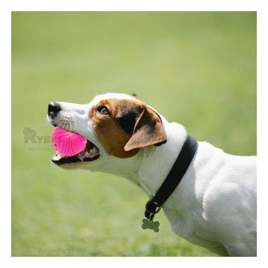 PELOTA PERRO MA29080 RYBIU PARAANTIESTRES DE GOMA ROSADO Y AGENDITA