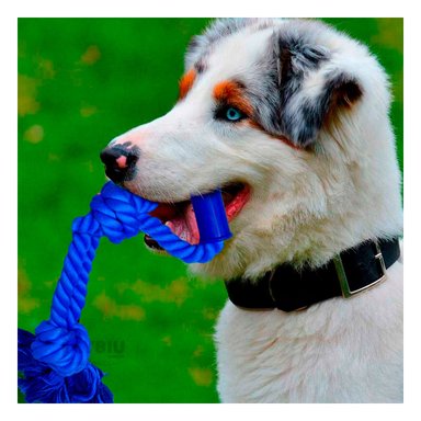 SOGA ALGODÓN MA29075 CON AGARRADERA EN COLOR AZUL +STICKERS RYBIU