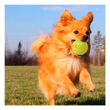 PELOTA PERRO MA29079 RYBIU RESISITENTE PARA REBOTAR VERDE LIMON Y STICKERS