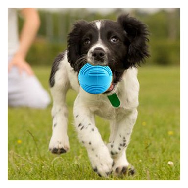 PELOTA PERRO MA29081 RYBIU DE ENTRETENIMIENTO CELESTE Y STICKERS - 2