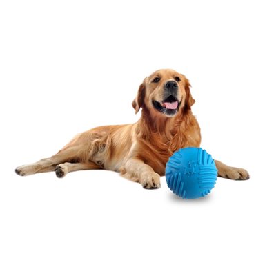 PELOTA PERRO MA29081 RYBIU DE ENTRETENIMIENTO CELESTE Y STICKERS - 3