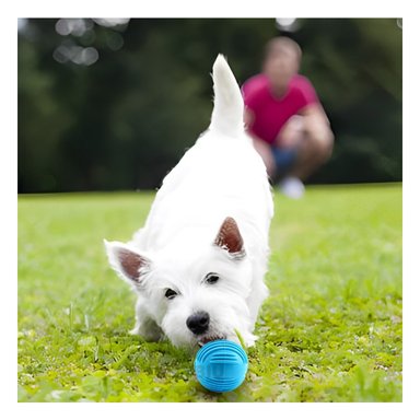 PELOTA GOMA PERRO MA29081 RYBIU SUAVE CELESTE Y PAPEL DE REGALO