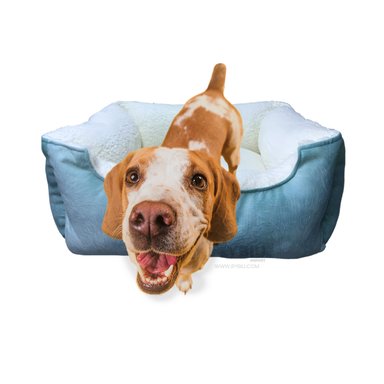 CAMA PERROS MA32266 RYBIU VERDE HADE Y PERLA EN XL + PAPEL DE REGALO