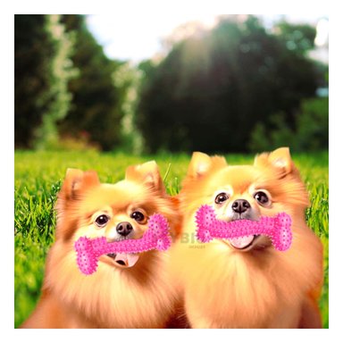 JUGUETE PERRO MA29652011 RYBIU ESTIMULADOR DIENTES ROSADO Y PAPEL REGALO