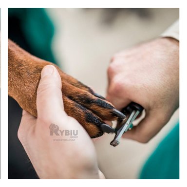 CORTAUÑAS PERRO Y GATO RYBIU PP26L EFICIENTE UÑAS CELESTE + STICKERS