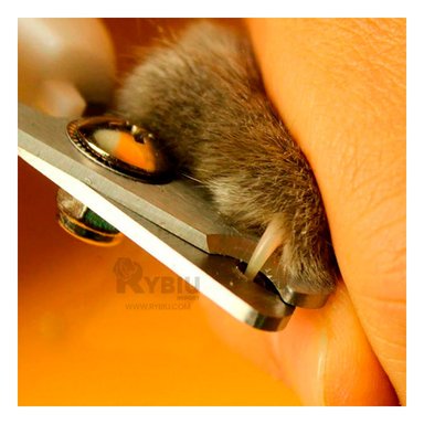 CORTAUÑAS PERRO RYBIU PP26L Y LIMA ROSADO + AGENDITA