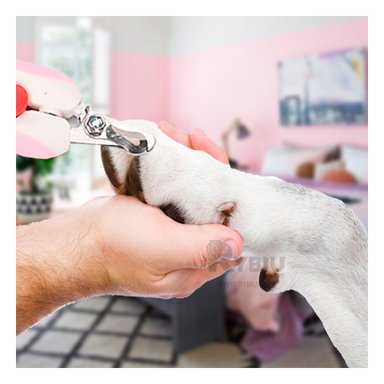 CORTAUÑAS PERRO Y GATO RYBIU PP26L EFICIENTE ROSADO + STICKERS