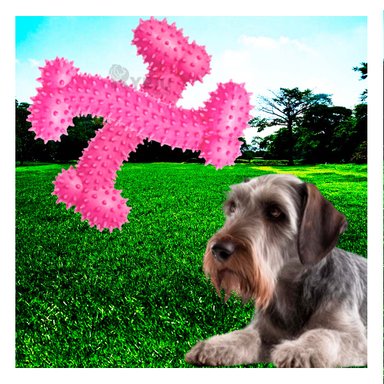 JUGUETE PERRO MA29652012 RYBIU DIVERTIDO FORMA HUESO ROSADO Y AGENDITA