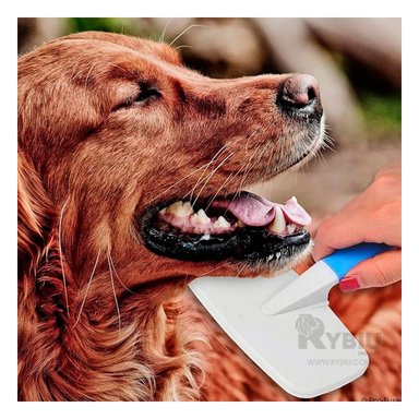 CEPILLO PERRO Y GATO RYBIU PP10L KIT CON MINI PEINE DE CELESTE + AGENDITA