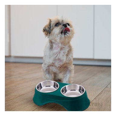 COMEDERO ACERO INOXIDABLE PERRO Y GATO PC120 DOBLE ALTO PLATO VERDE OSCURO Y PAPEL REGALO RYBIU