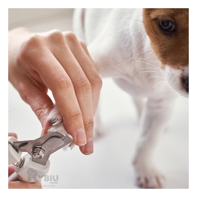 CORTAUÑAS PERRO Y GATO RYBIU PP26L Y LIMA CELESTE + AGENDITA