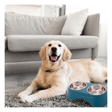 COMEDERO SEPARADOR COMIDA COLOR AZUL OSCURO + AGENDITA