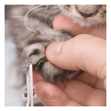 CORTAUÑAS PERRO Y GATO RYBIU PP26L CON LIMA CELESTE