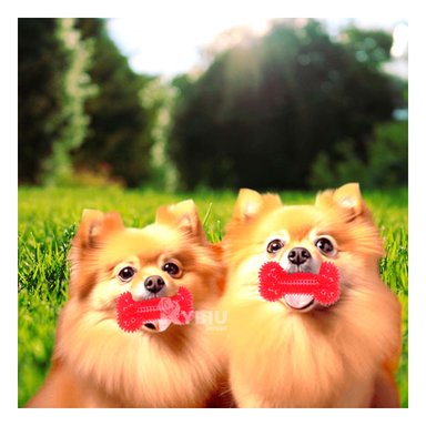 SET JUEGO PERRO MA29849 RYBIU LUZ LED ROJO Y STICKERS